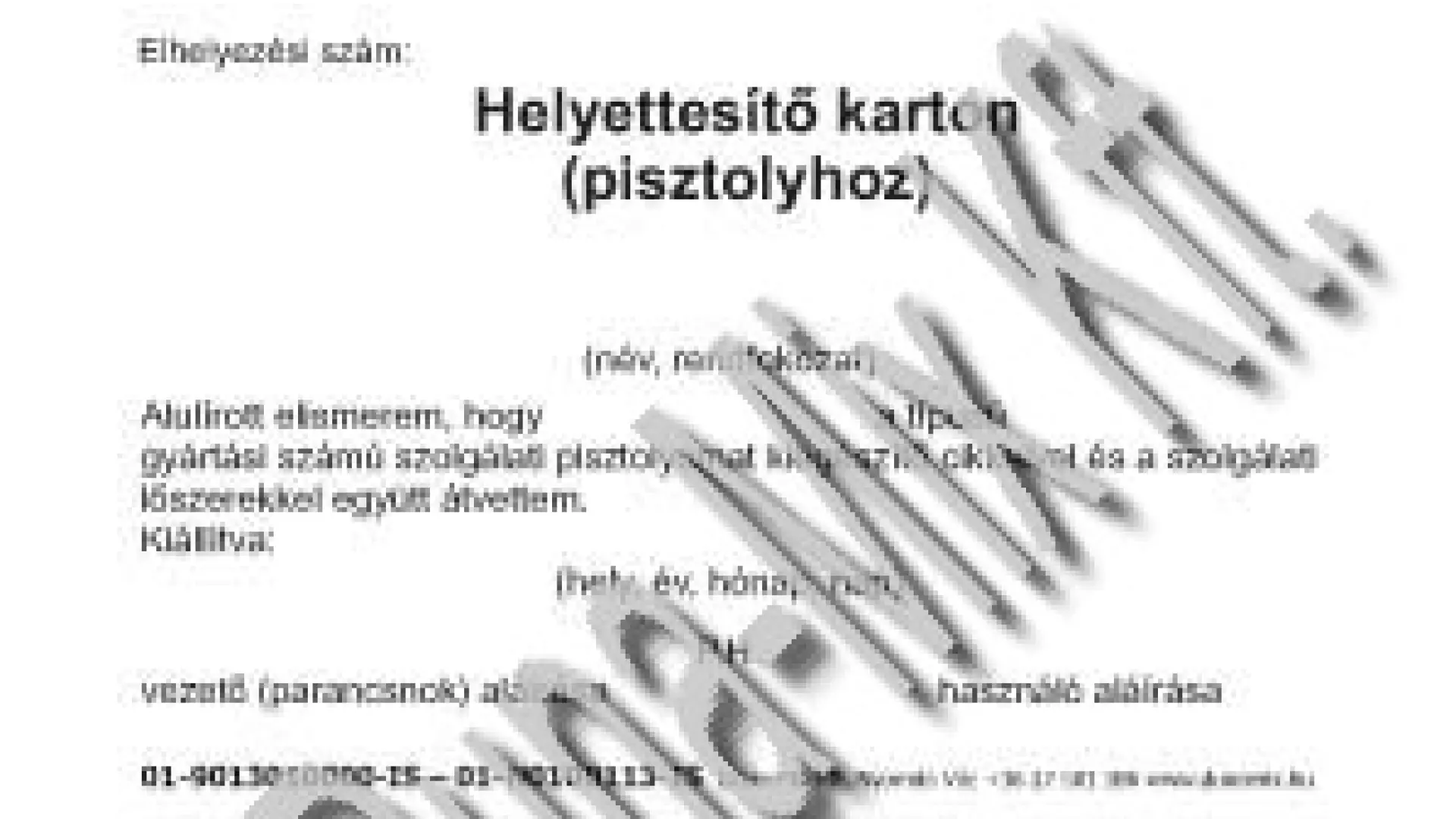 Helyettesítő karton (pisztolyhoz)